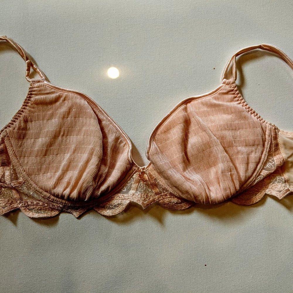 Lejaby bra